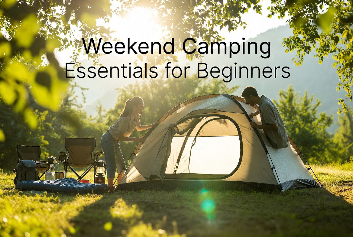 Essentials for beginners